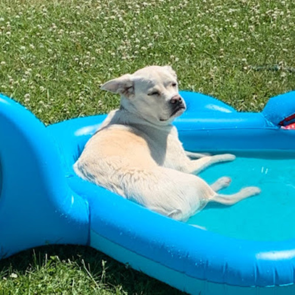 Meet your Posher, Tieghan - Picture 1 of 1